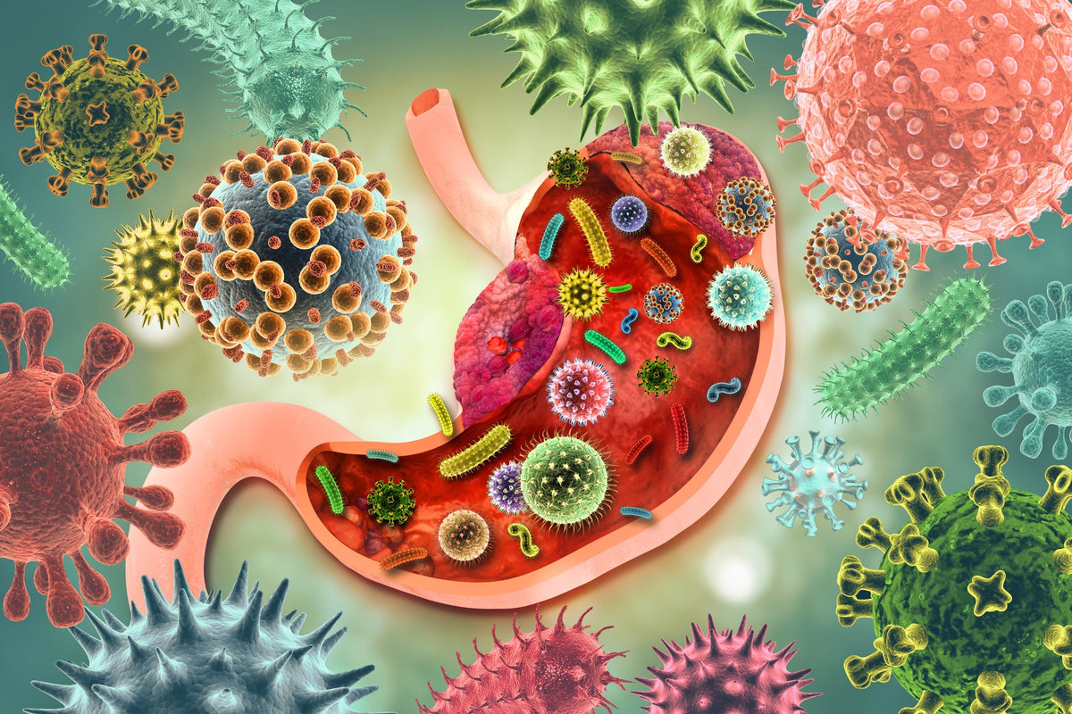 An Introduction to Gut Health & Nutrition – 5 Must See Articles - Nuzest UK