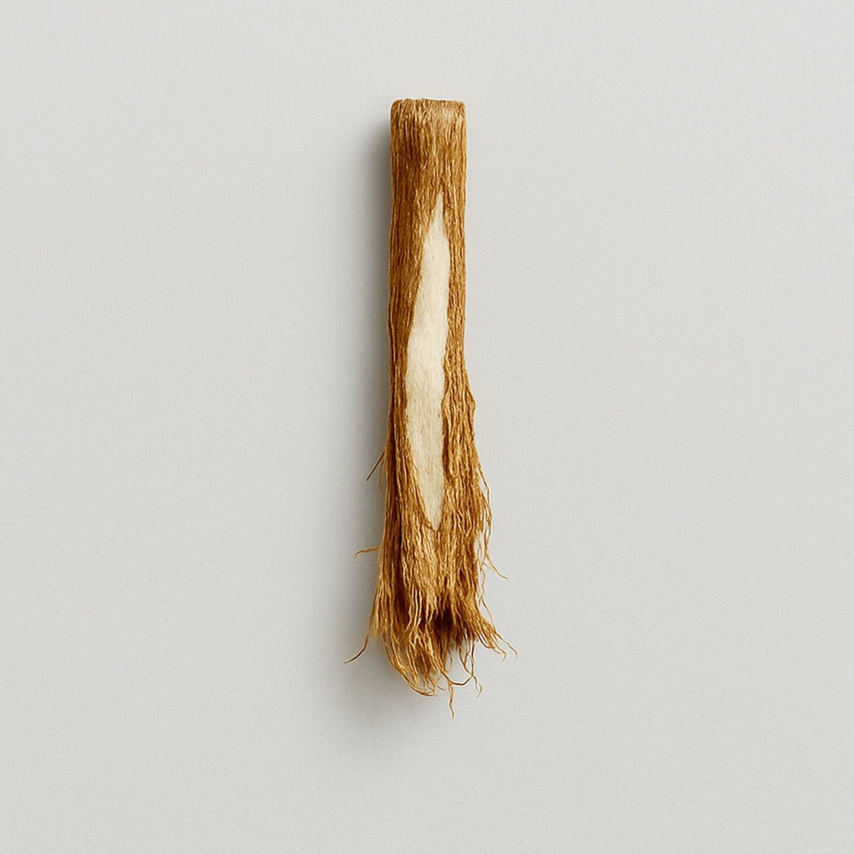 Angelica root - Nuzest UK