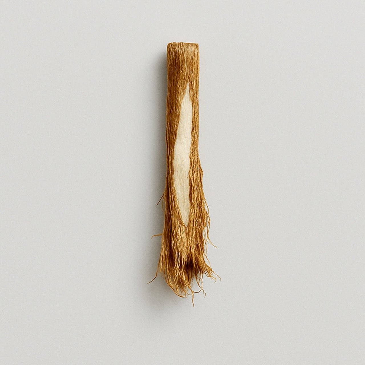 Angelica root - Nuzest UK