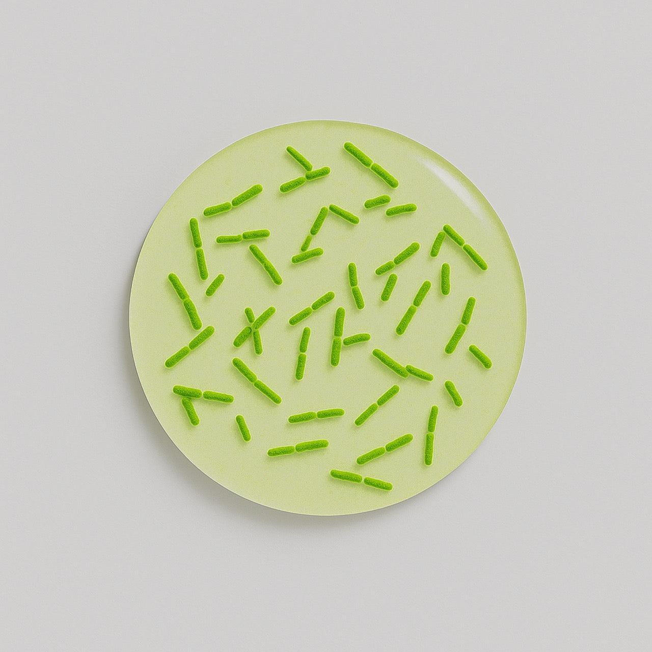 Nuzest ingredients - Bifidobacterium bifidum