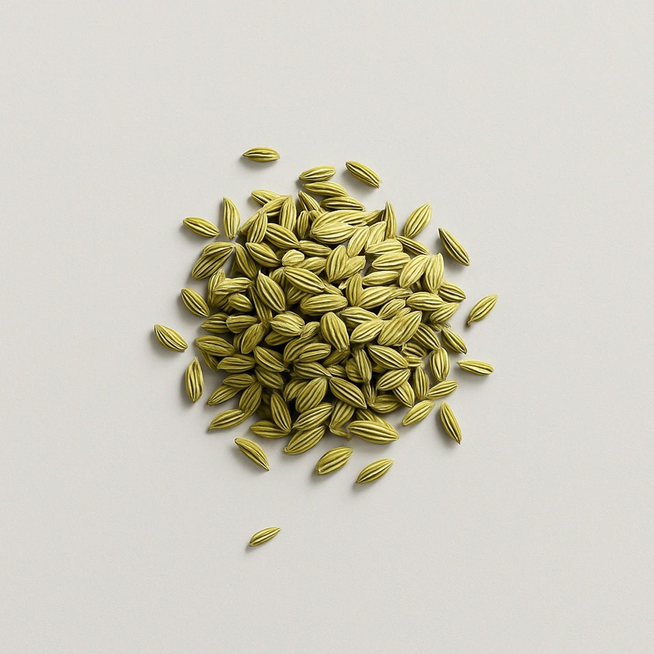 Fennel seed - Nuzest UK