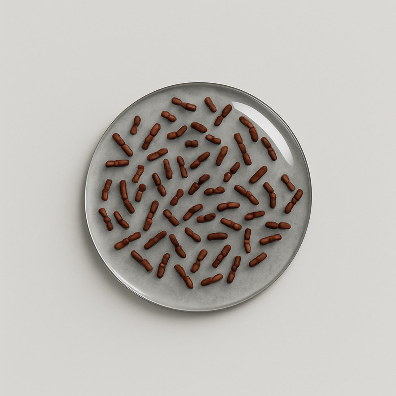 Nuzest ingredients - Lactobacillus casei