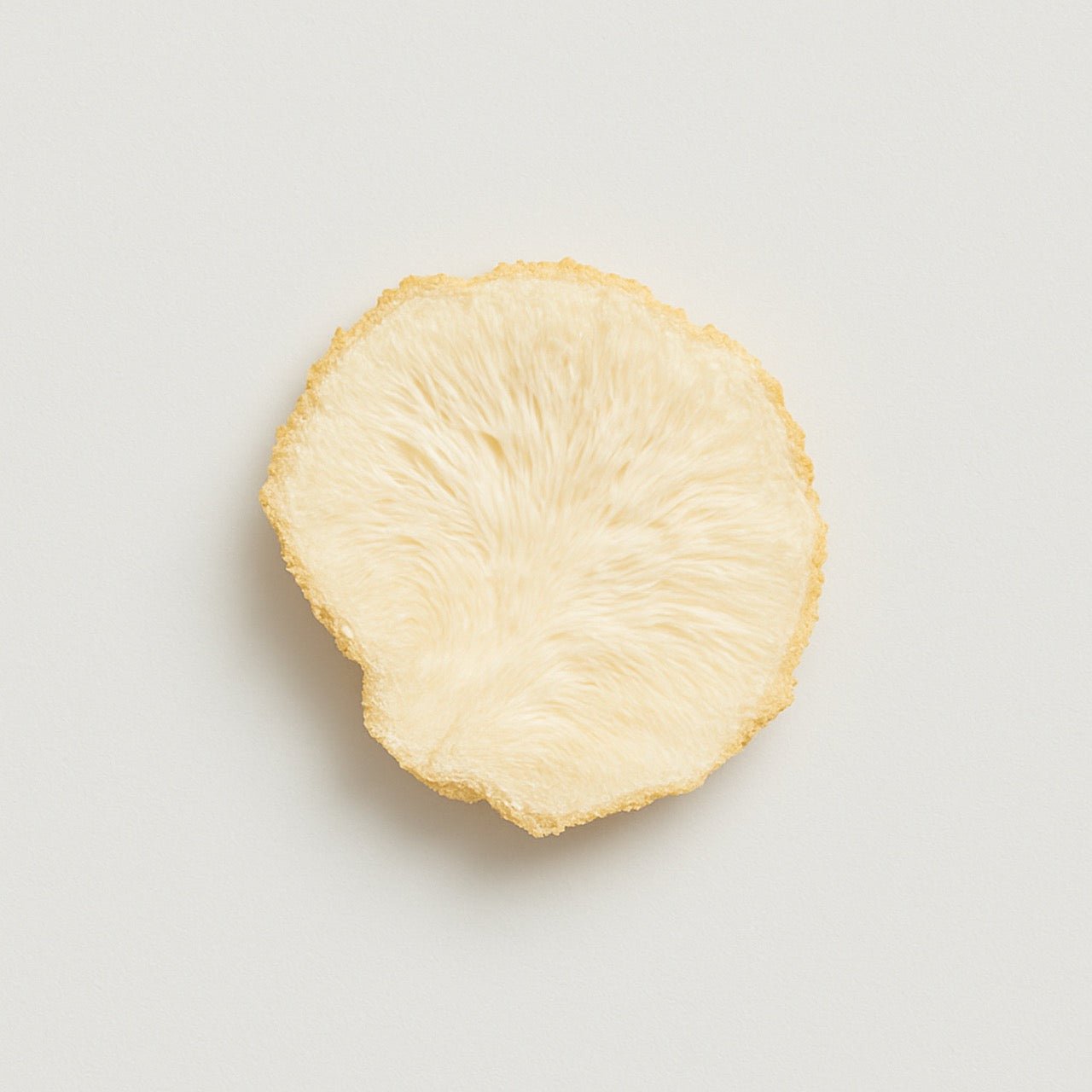 Lion's mane - Nuzest UK