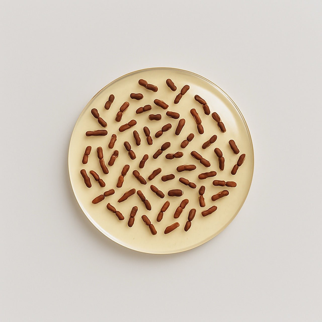 Lactobacillus rhamnosus - Nuzest UK