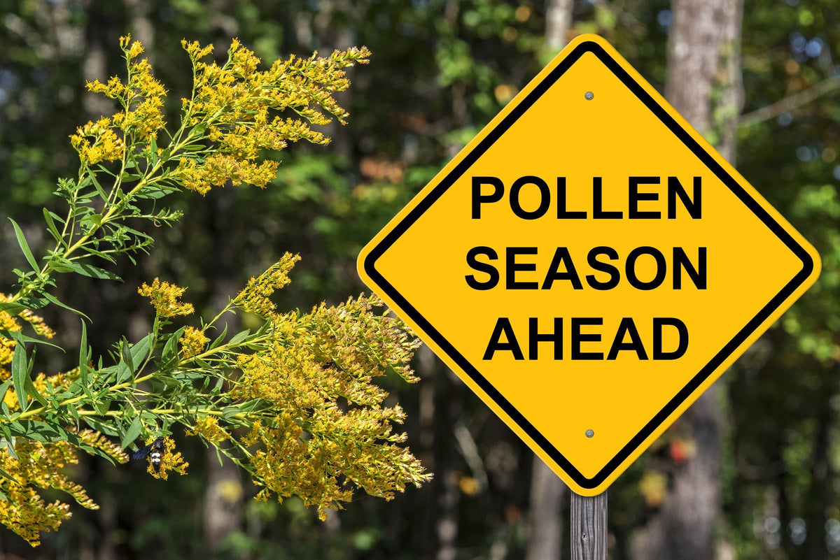 The Link Between Gut Health & Allergies  - Plus 5 Top Tips to Help - Nuzest UK