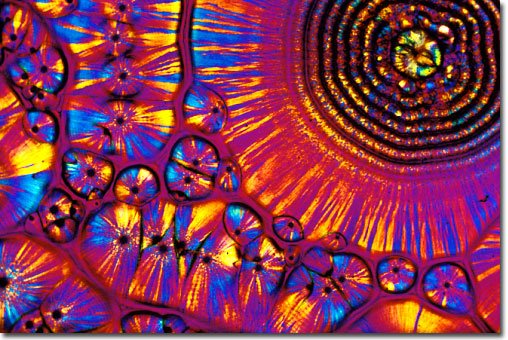 The Key to a Healthy Life - Amino Acids and Protein for Optimal Health - Nuzest UK